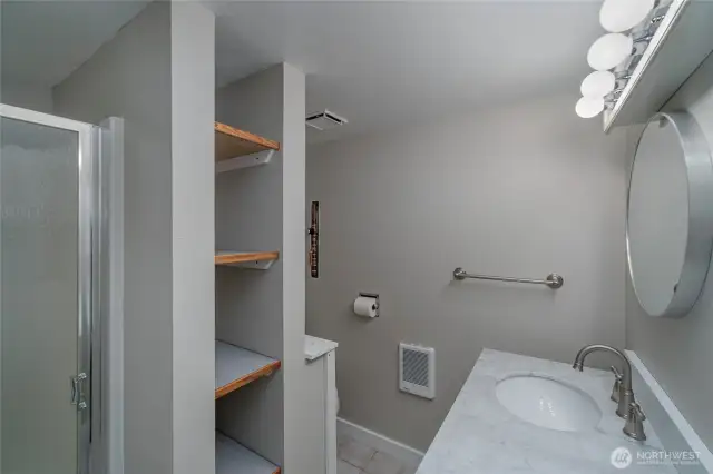 Lower level bathroom