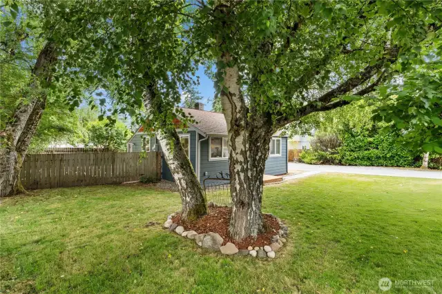 large corner lot