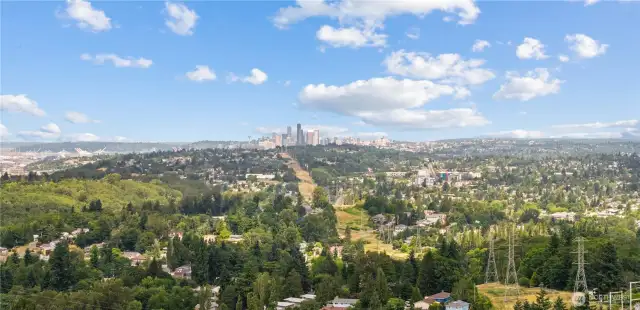 minutes to so many activities including parks, downtown, kubota gardens, museum of flight and so much more.