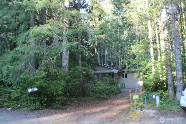 Driveway View