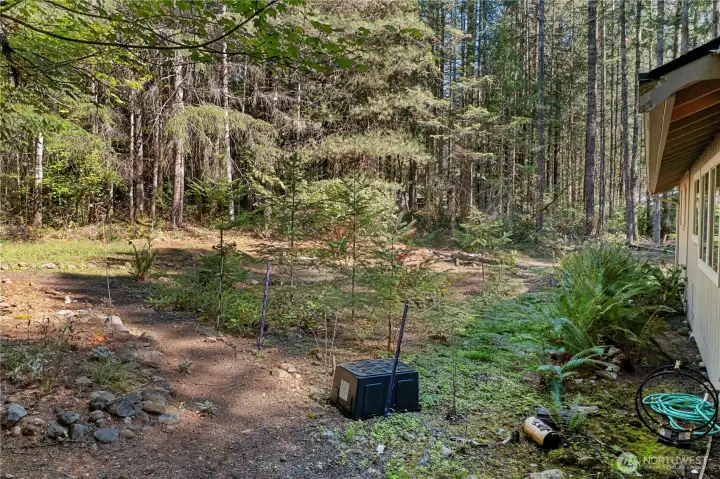 Side Yard