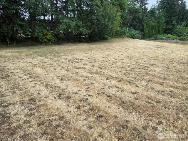 Level, cleared, most utilities in the street.