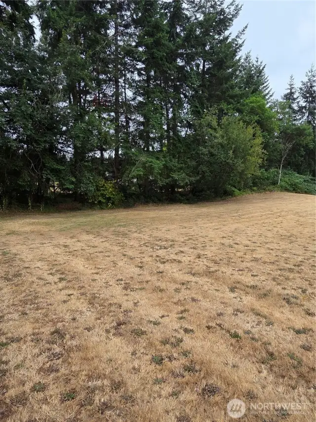 Corners all marked by Olson Survey, early 2025.