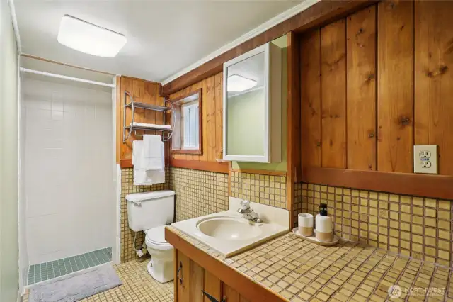 2nd bathroom on lower level
