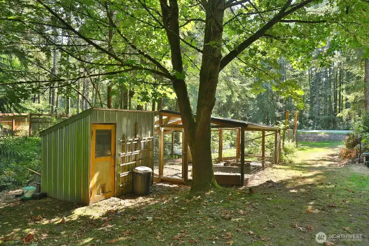 Extremely well-fenced garden with large coop