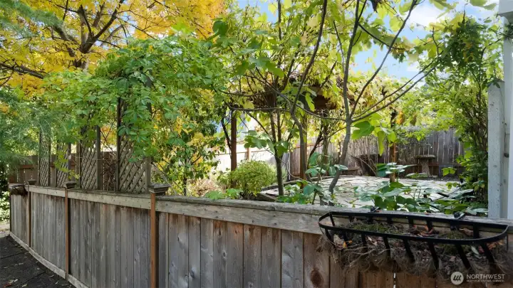 Backyard paradise found! A perfect blend of beauty and tranquility, this outdoor space invites you to kick back, breathe deep, and enjoy every beautiful moment.