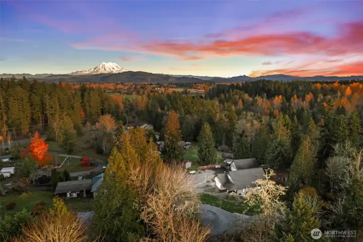 Mount Rainier from the front yard