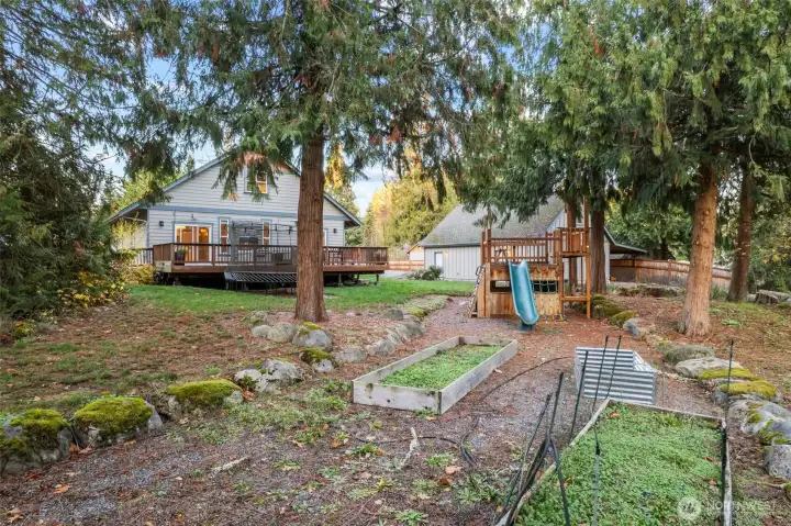 Spacious backyard with over 1 acre of space