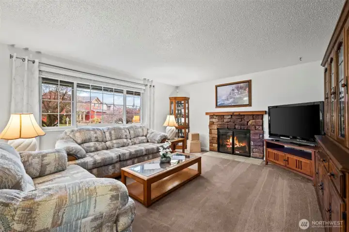 Wood burning fireplace