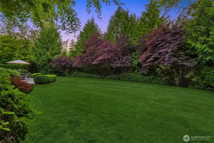 Ultra Private Backyard to a Green Belt Ultra Private Backyard to a Green Belt