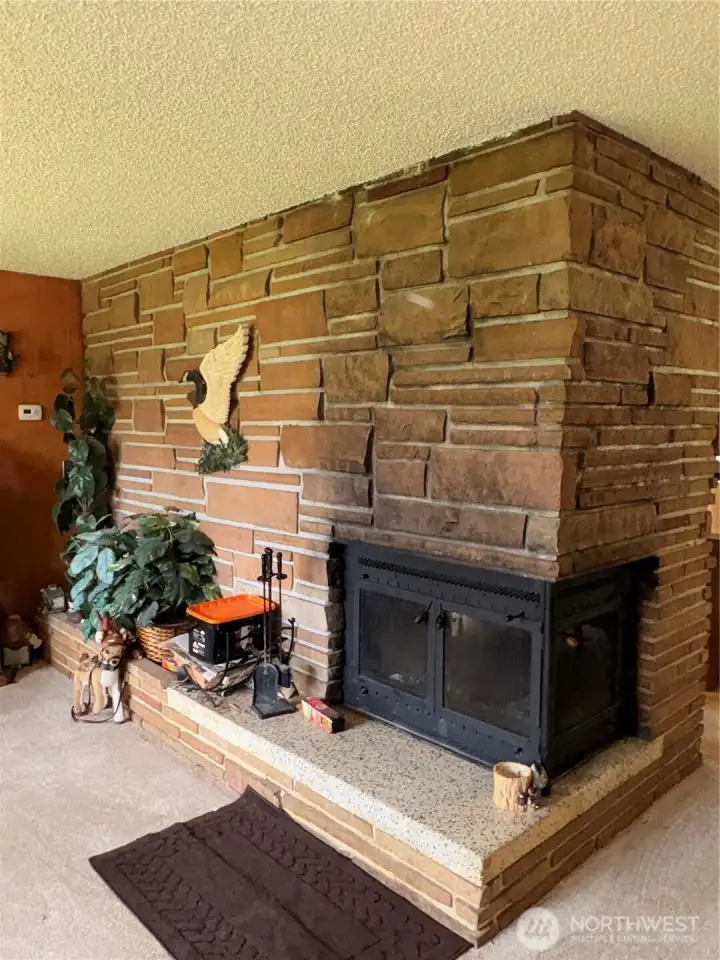 Wood Burning Fireplace