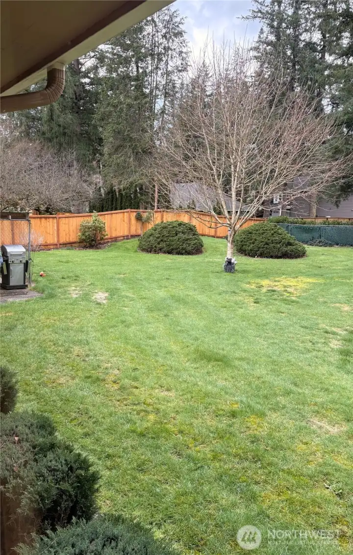 Backy yard Left Side