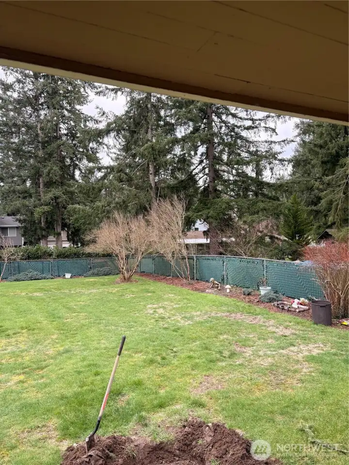 Backy yard Right Side