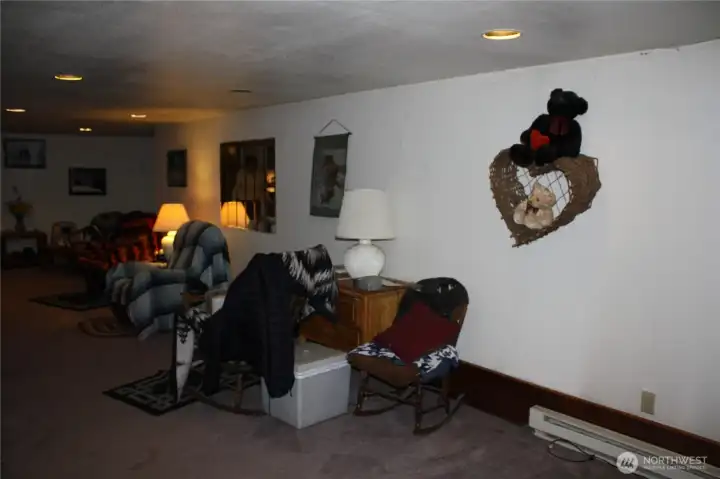 Basement Living Room