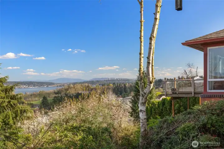 Views looking south from the elevation of the lower level.