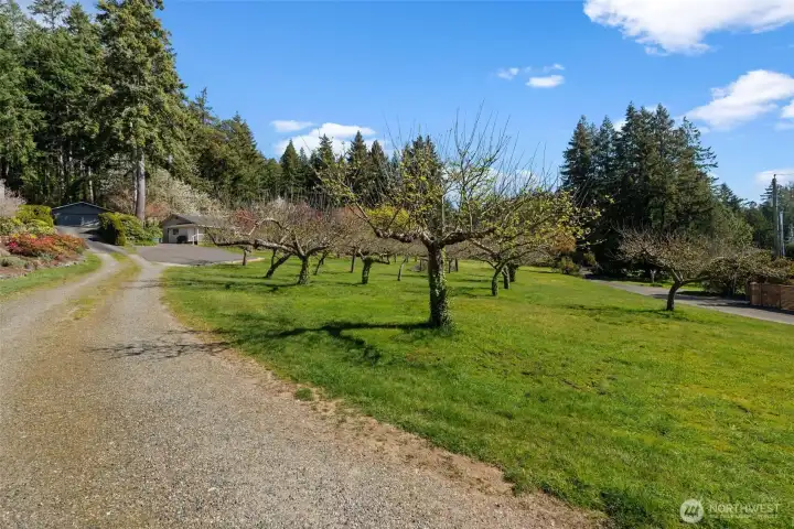 Country roads take you home to the place you belong! Country roads take you home to the place you belong!