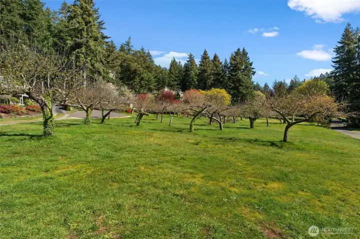 Worlds away from the hustle and bustle, but just 10 mins to Artondale Elementary and 15 mins to Highway 16. Worlds away from the hustle and bustle, but just 10 mins to Artondale Elementary and 15 mins to Highway 16.