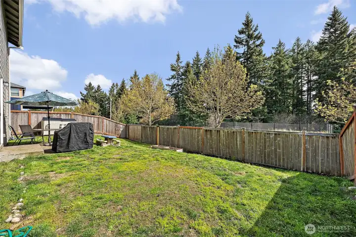 Spacious Backyard