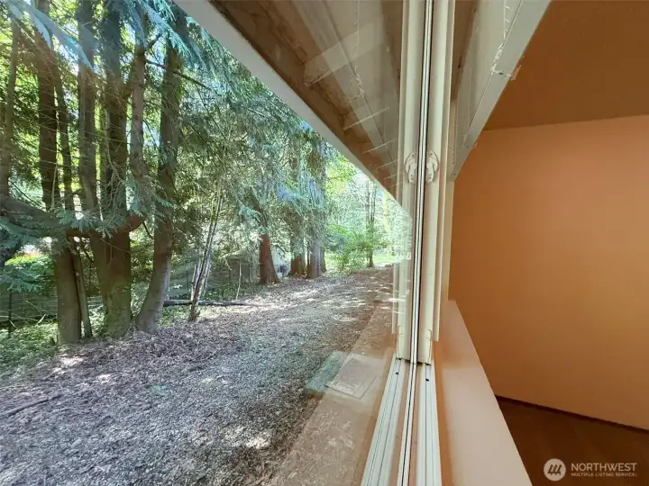 View of backyard.