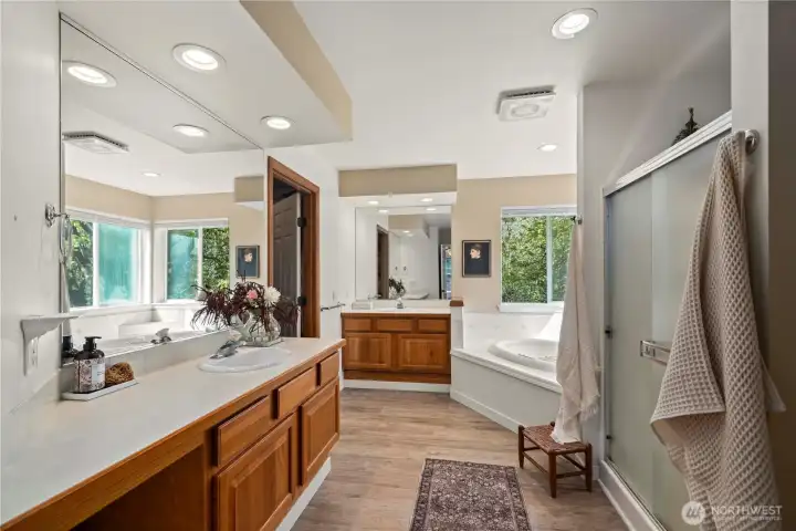 Primary bathroom in main home with a lot of possibility.