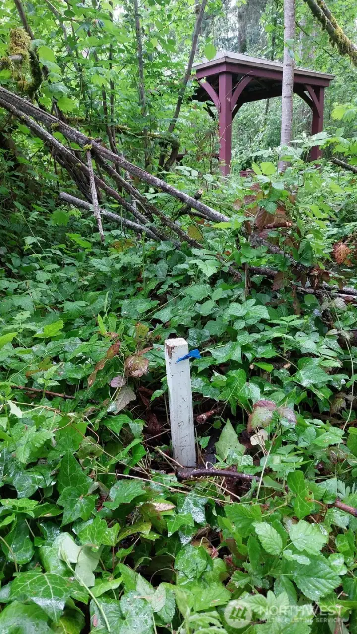Edge of land showing neighbor's structure