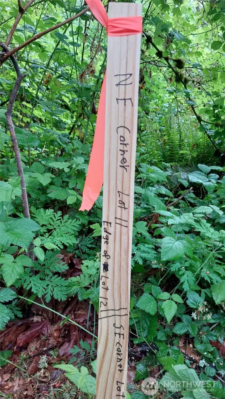 NE Corner Lot 11