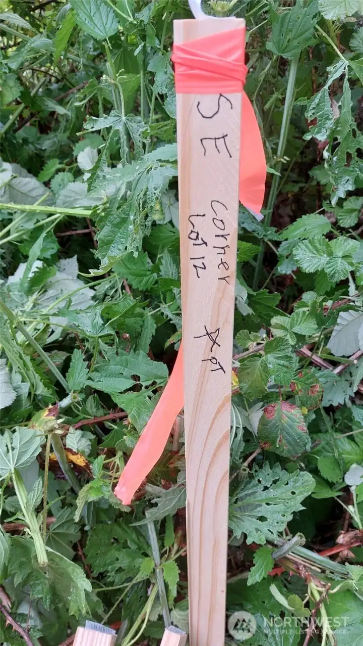 SE Corner lot 12