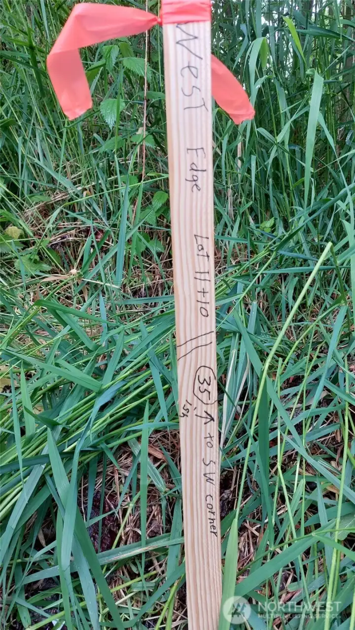 West edge Lot 11