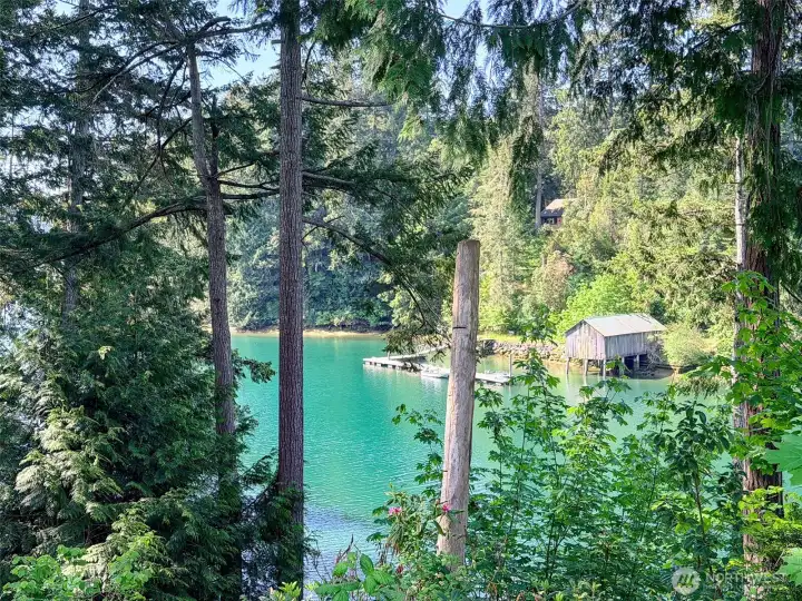 View of harbor from the back yard