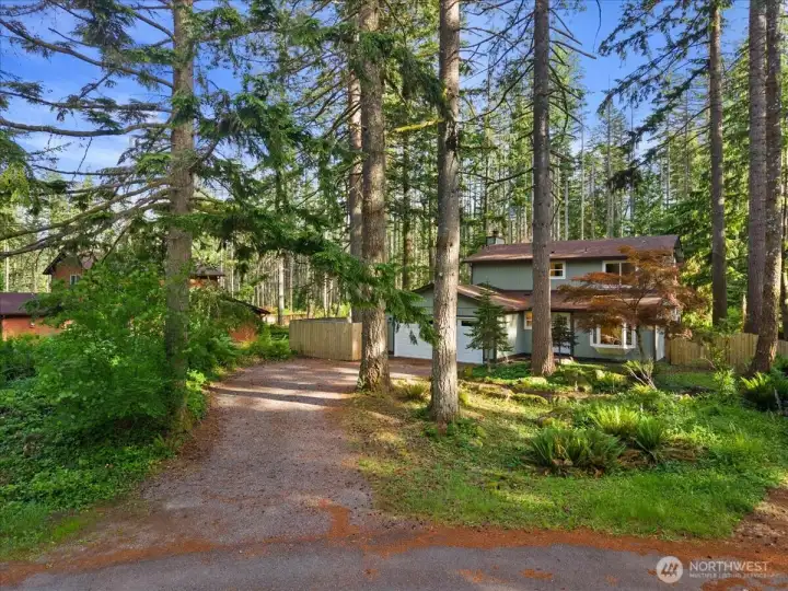 Front Exterior – Welcoming exterior with mature trees, natural landscaping, and a long driveway leading to the attached garage.