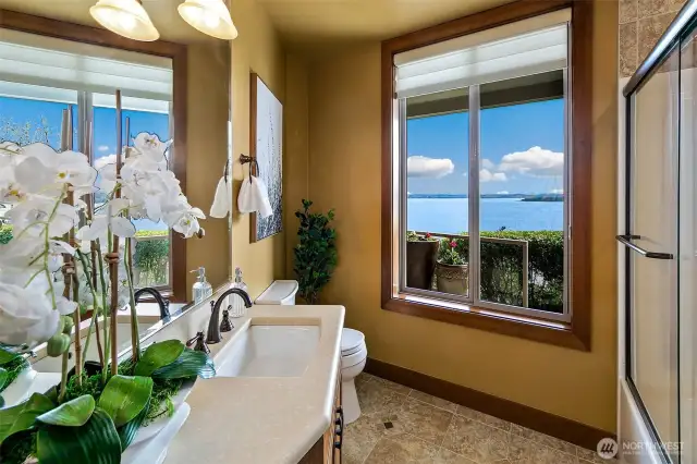Full bathroom off lower level bedroom but also works as lower level bathroom.  And yes you still see the views.