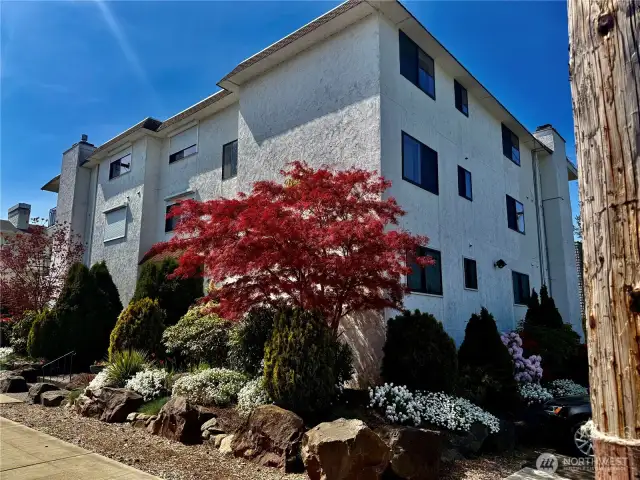 Welcome To Bay Vista Condos!