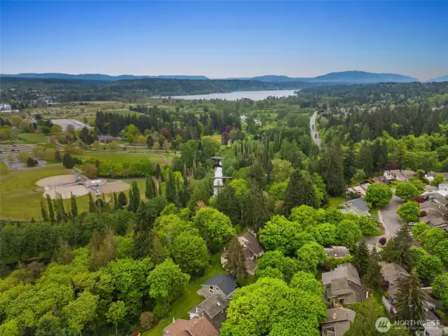 Hop to the Marymoor park