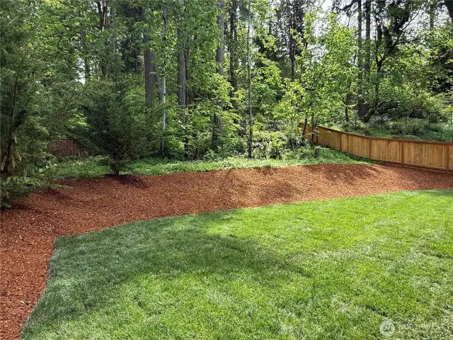 View of the back yard. You will love the natural fenced area that the yard backs up to. You will also enjoy the privacy wood fenced area on each side of the Home.