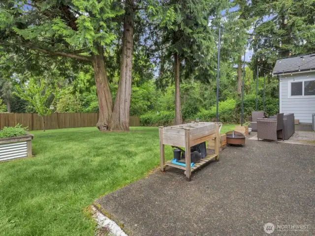 Patio and backyard.