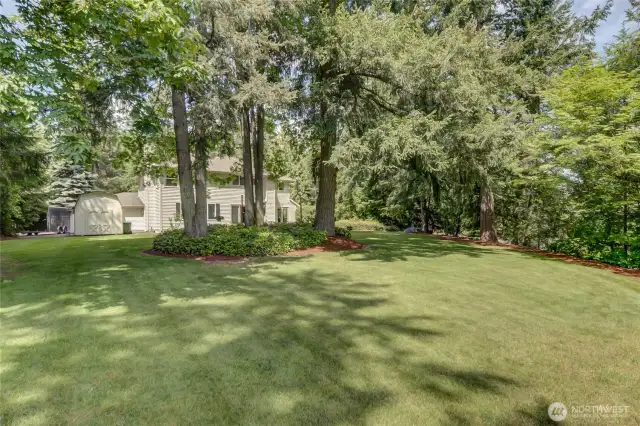 Massive yard with lush mature landscaping