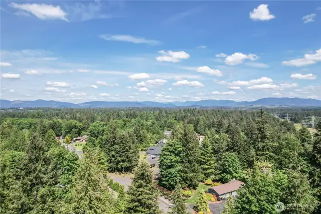 Winterwood Estates - Tree lined community with lots of serenity and privacy - yet close to shopping