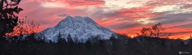 Enjoy stunning views of Mt. Rainier!