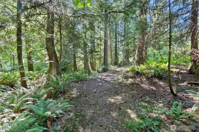 Private trails heading out of the back of the 5 acres