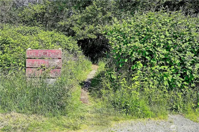 trails to beach #3