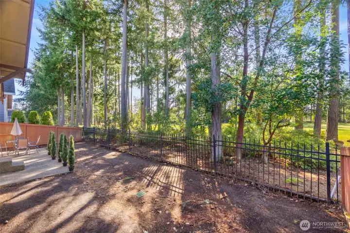 View of the backyard area - room for your furry friends and a small garden.