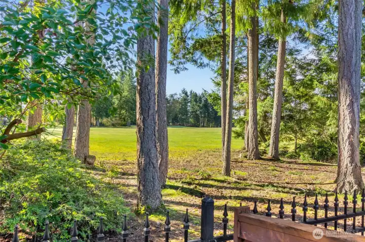 View of the golf course adjacent to the backyard.