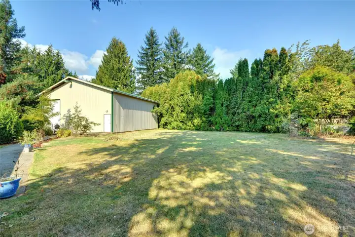 Backyard view