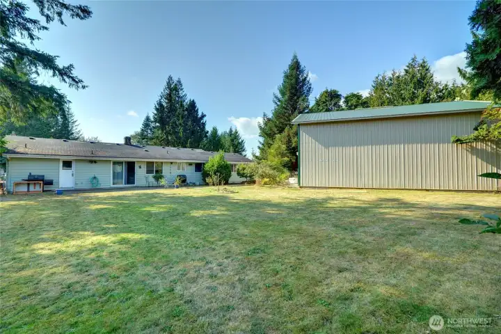 Backyard view