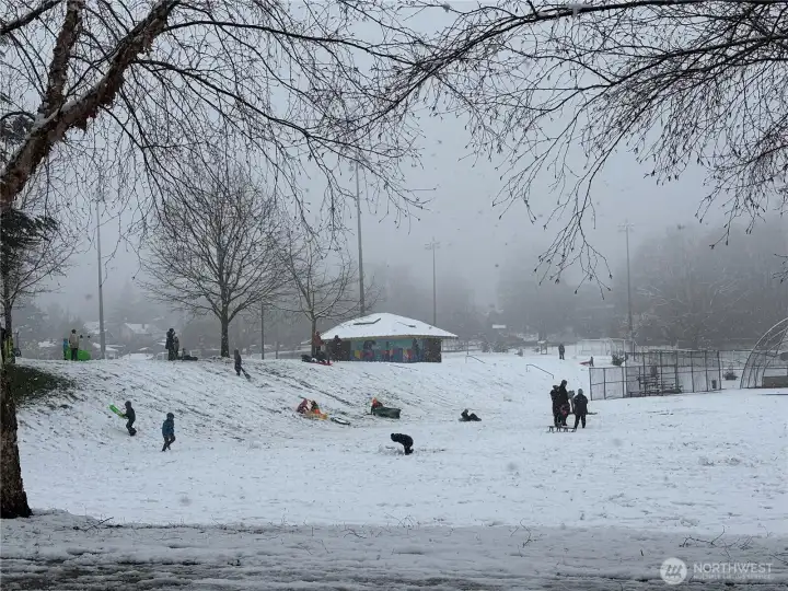 A view of sledding in the park!
