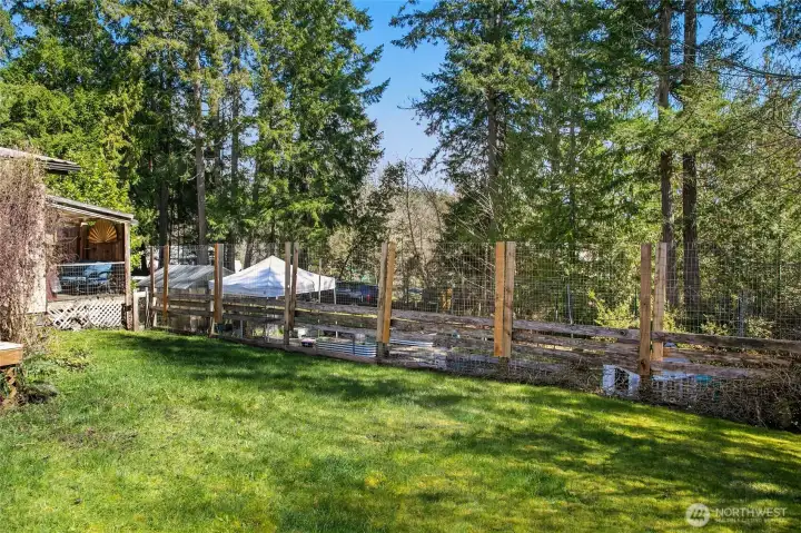 Another view of the back yard showing the fenced in greenhouse and garden.
