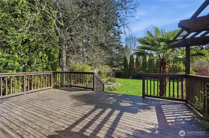 Can't go wrong with a deck this big