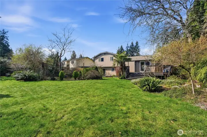 Huge private and fenced backyard!