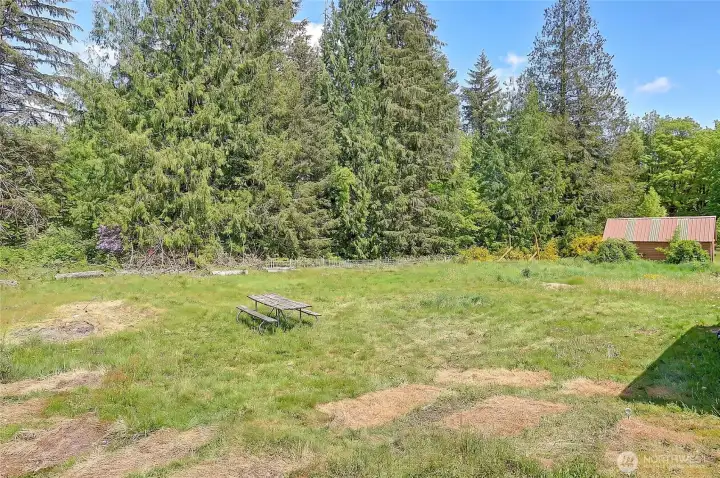 Back yard, off back porch