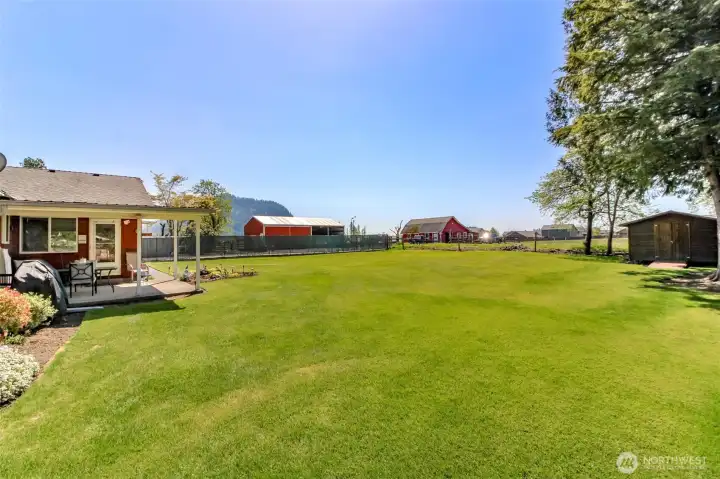 Another view of the backyard, patio and shed.